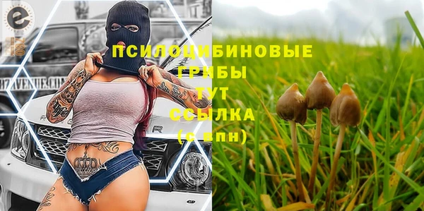 скорость Баксан