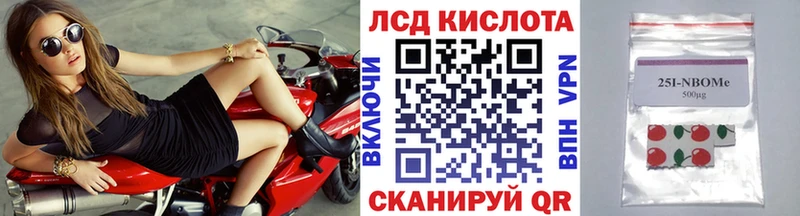 сколько стоит Кунгур Марки N-bome 1500мкг