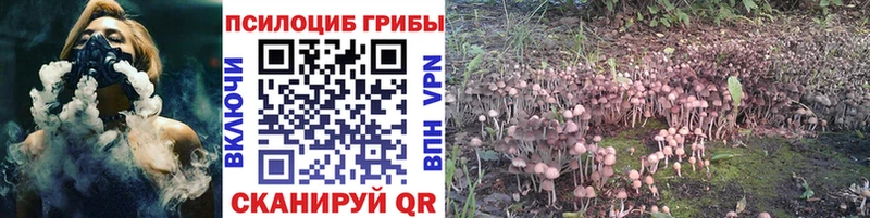 Галлюциногенные грибы Psilocybe  Кунгур 