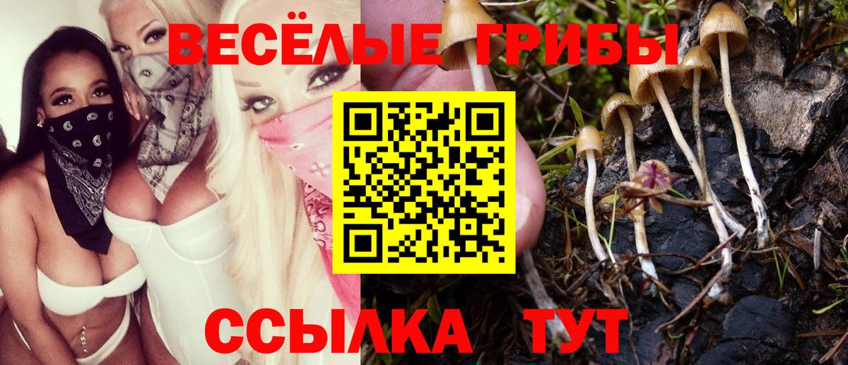 Галлюциногенные грибы Psilocybe  Вход с VPN  Псилоцибиновые грибы MAGIC MUSHROOMS  Кунгур 