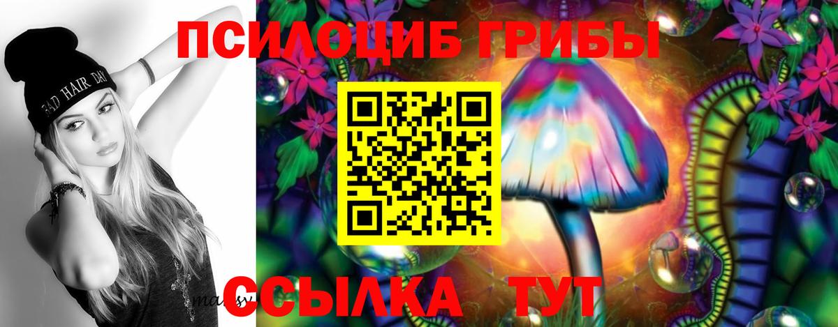 Галлюциногенные грибы Psilocybine cubensis Кунгур